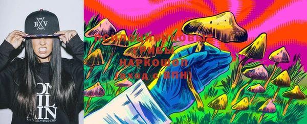 бутират Сатка