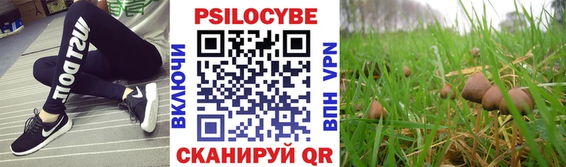 Псилоцибиновые грибы Psilocybine cubensis  Донской 