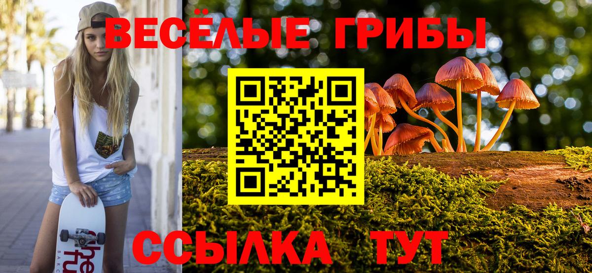 Донской  Псилоцибиновые грибы мицелий  Вход с VPN  Псилоцибиновые грибы MAGIC MUSHROOMS 